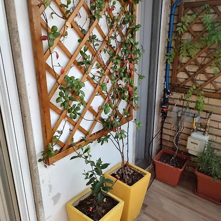 Ilbalconcino * Milan