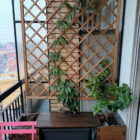 Ilbalconcino Milan